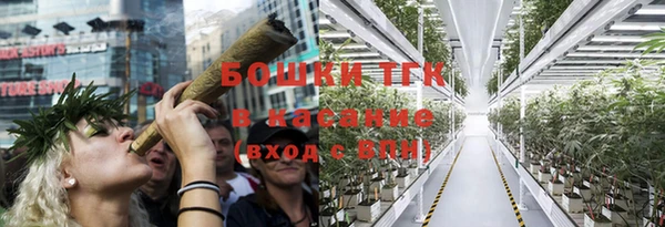 гидропоника Алзамай
