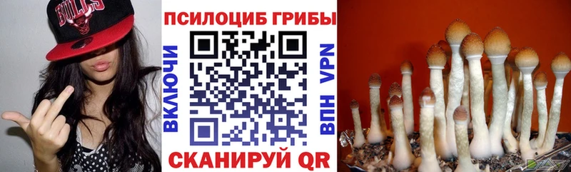 Псилоцибиновые грибы Cubensis  купить наркоту  Олонец 